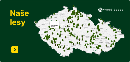 Naše lesy